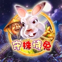 Www.yaxin222.111.333.55.com;66.322.323.221.com;211.868.001.009.com